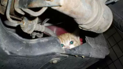 Kaputa vurmadan aracınızı çalıştırmayın! İşte nedeni