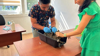 Kedi ve köpek sahipleri dikkat! Son tarih 31 Aralık