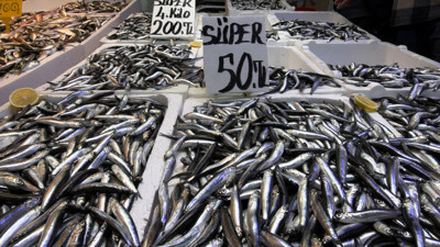 Trabzon'da hamsi fiyatları düştü