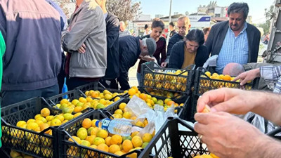 ‘Mandalinayı okullara dağıtın’