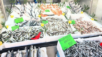 Düzce’de balık fiyatları düştü!