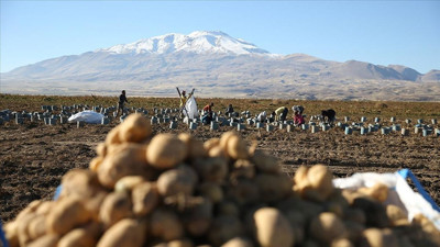 Bitlis’te üretiliyor: Gürcistan, Nahçıvan ve Azerbaycan'a gönderiliyor