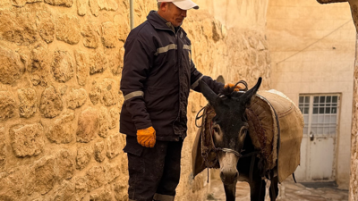 Mardin’in 'Kadrolu Eşekleri'nden haber var! Her sabah saat 04.00’te işe başlıyorlardı
