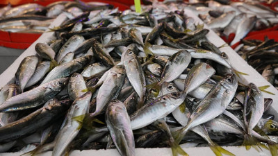 Rize'de balık fiyatları belli oldu! Bakın istavrit ve hamsi kaç lira oldu