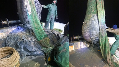 İzmir’de balıkçılık da turizm de tehdit altında! Ağlar balıkla değil çamurla doluyor