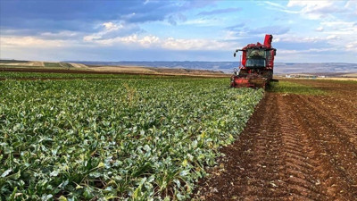 Maaşlı çiftçilik dönemi başlıyor: 3 asgari ücret verilecek