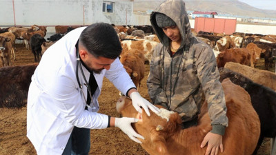 Veteriner Hekimler Günü ‘Gıdanın ve sağlığın koruyucularıyız’