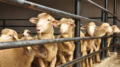 Bayramda çalışanların günlük ücreti ne kadar olacak?
