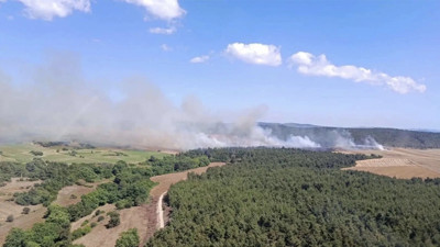 Gaziantep’te orman yangını çıktı