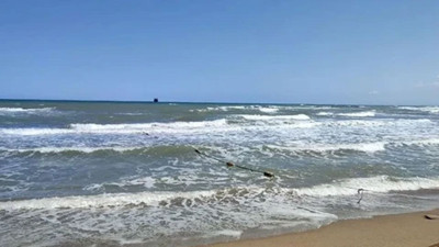 Sinop Ayvacık'ta bugün yasaklandı! Kaymakamlık duyurdu