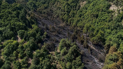 Sinop'ta orman yangını rüzgara rağmen kontrol altına alındı
