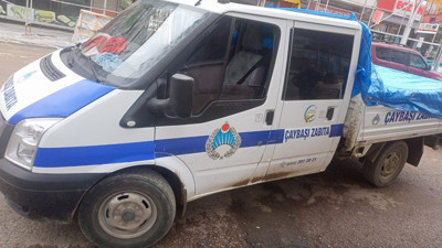Ordu’da sokak hayvanı olayıyla ilgili soruşturma başlatıldı