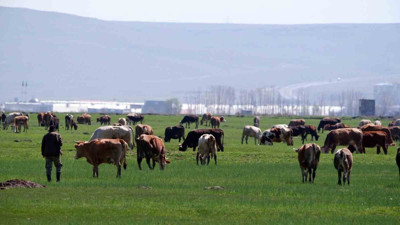 Erzurum’da kırsal yatırımlara 171 milyon TL’yi aşan hibe