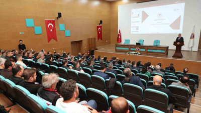 Ordu’da kahverengi kokarcayla mücadele için 300 bin samuray arısı salındı