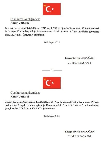 Cumhurbaşkanı Erdoğan'dan atama kararları! Resmi Gazete'de duyuruldu o isimler göreve getirildi - Resim: 4