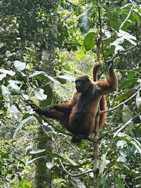 Ekvador’a Yolculuk - 3 Tropikal Yağmur Ormanları ve Amazon Nehri - Resim: 5