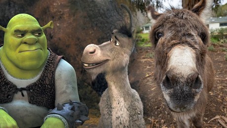 Shrek filminin Eşek'i Perry 30 yaşında hayatını kaybetti