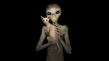 Meserret Taşkın'dan mektup var! Kediler uzaylı mı?