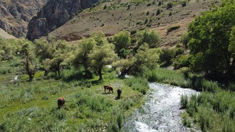 Erzincan'ın Çağlayan beldesinde yer alıyor! Ziyaretçilerin uğrak yeri oldu