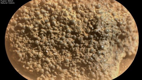 Mars'ta keşfedildi