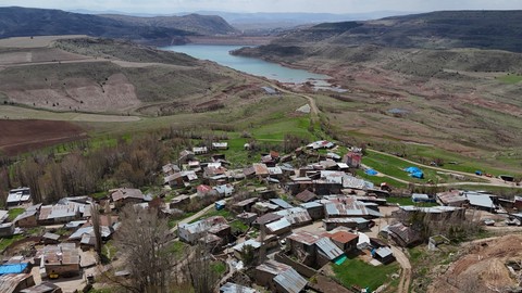 İlk kez görenleri ürkütüyor! Sivas'ın Kolluca köyünde bulunuyor