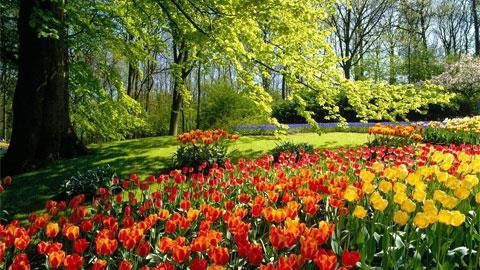 Osmanlı hakkında az bilinen 15 bilgi! - Resim: 9