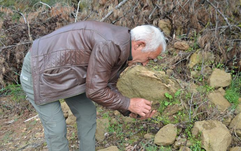 Bilecik'te toplanıyor kilogramı 7500 TL! Altınla yarışıyor