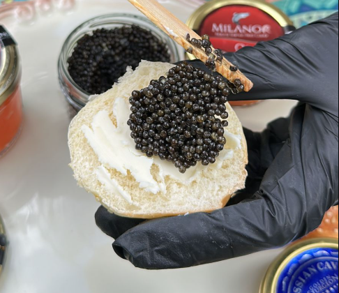 Bir lokması bile binlerce dolara satılıyor: İşte dünyanın en pahalı 7 yiyeceği! - Resim: 1