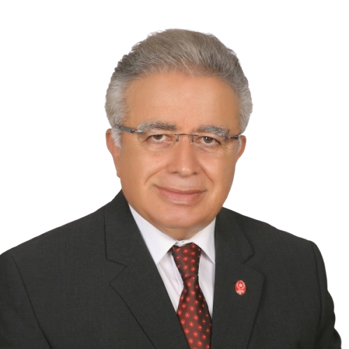 Moldova'da seçim heyecanı! AB yanlısı iktidar kaybetmeye yakın - Resim : 1