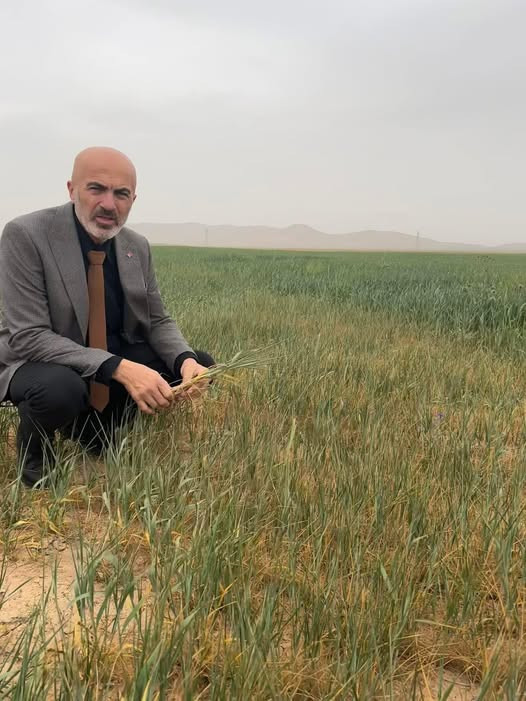 Zirai dondan sonra şimdi de kuraklık kapıda - Resim : 1