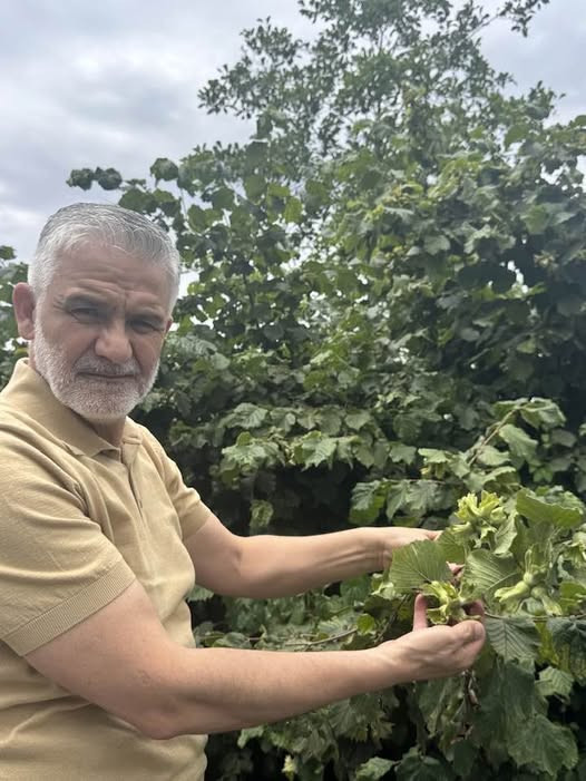 Mahkeme Ferrero’nun taahhütnamesini iptal etti: Sömürü var, tedbir yetersiz - Resim : 1