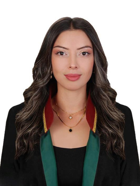 Avukatlar sorunlarına çözüm bekliyor - Resim : 4