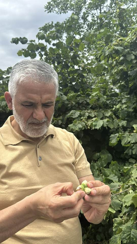 Şimdi de minik kokarca istilası - Resim : 1