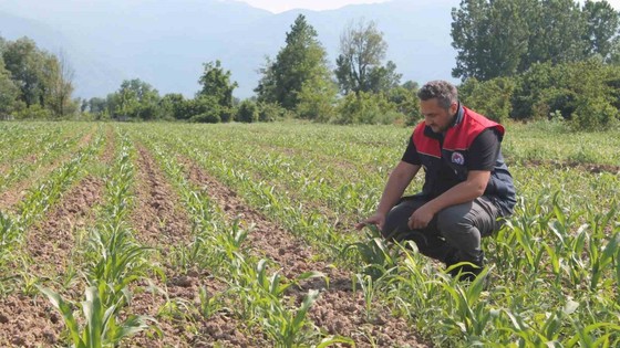 10 Haziran 2025 son tarih! Devlet desteği ile yüzde 50 prim indirimi