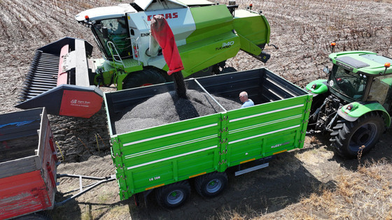 ‘Ayçiçek taban fiyatı az kuraklık desteği verilsin’