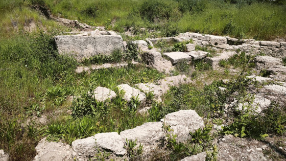 Villa izni verilen araziden Roma mezarları çıktı