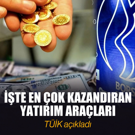 TÜİK açıkladı: En çok kazandıran yatırım aracı belli oldu!