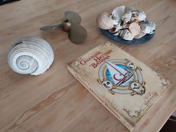 Devlet kıyılarımız için acilen harekete geçmeli - Resim : 3