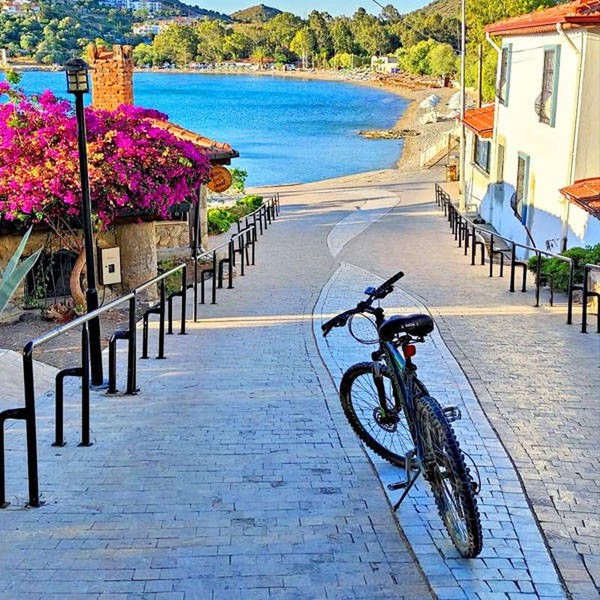 Bu salyangozlar Türkiye'de yeniyor! İşte Datça'nın meşhur yemeği Garaville - Resim: 11