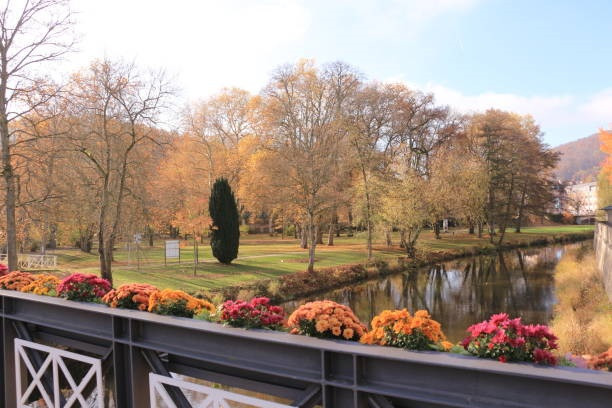 Soğuk rüzgarlar başlamadan... - Resim : 3