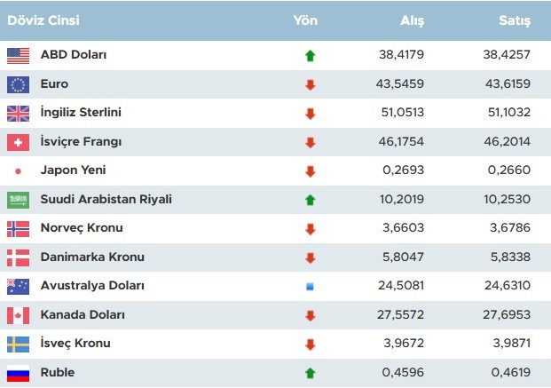 Dolar kaybetti! Dolar yıl sonu kaç lira olur? - Resim : 1