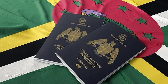 Dünyanın en güçlü pasaportları belli oldu! Bakın Türkiye kaçıncı sırada - Resim: 37