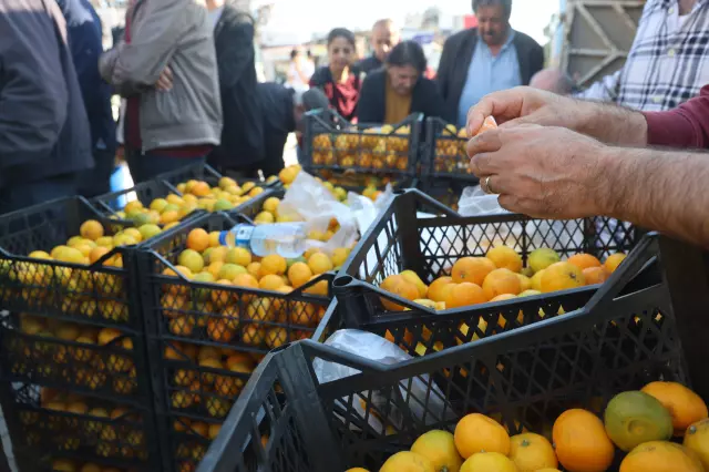 Markette 30 TL! Hatay'da 2 TL'ye satışa çıkarıldı - Resim : 1