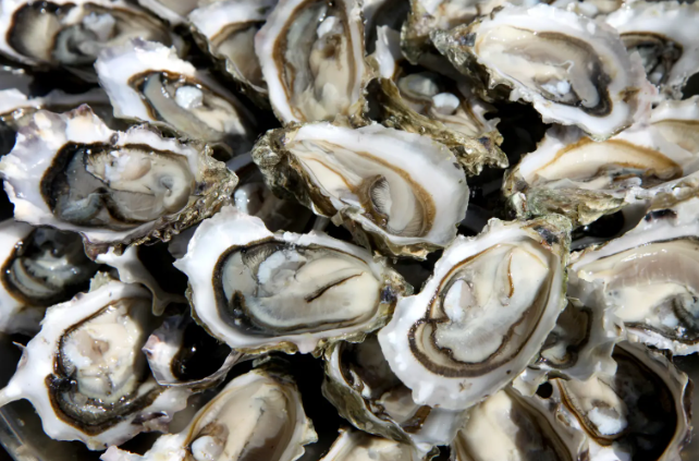 Çinli bilim insanları, kırıkları 3 dakikada iyileştiren 'kemik yapıştırıcısı' geliştirdi! - Resim: 4