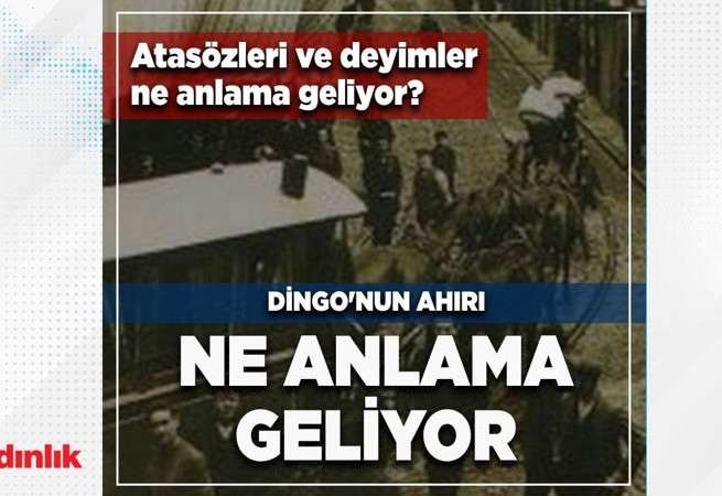 "Dingo'nun ahırı" ne demek? Atasözleri ve deyimlerin hikayeleri...