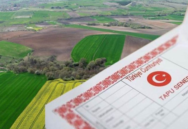 1 Eylül 2025'e kadar başvuru yapmayan hakkını kaybedebilir! Tapu sahipleri dikkat