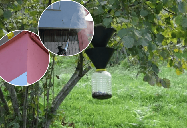 Vatandaşlar diken üstünde! Karadeniz'de kabus büyüyor...