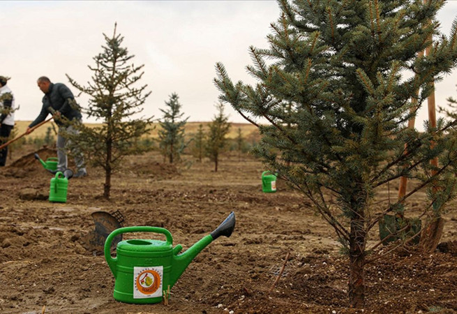 Yeşil Vatan Seferberliği