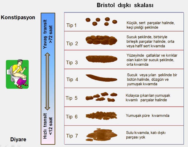 Uzman uyardı! Meğer tuvaletlerimizi yanlış kullanıyormuşuz! İşte sağlık için yapılması gerekenler - Resim : 2