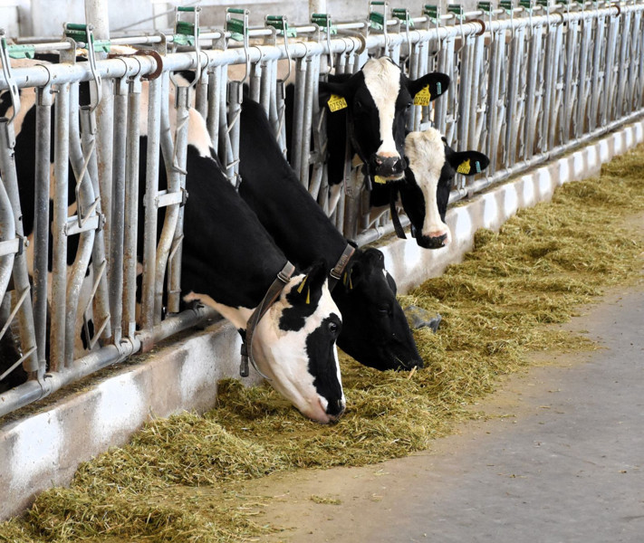 Aksaray'da devletten 3.2 milyon TL'lik hibe alarak kurdu! Şimdi 33 bin TL maaşla çalışacak işçi bulamıyor - Resim: 3